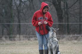 animal behavior college reviews animal behavior college reviews