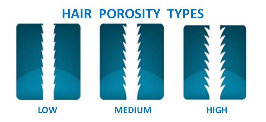 Hair Porosity