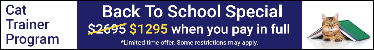 Back to School Special Back to School Special