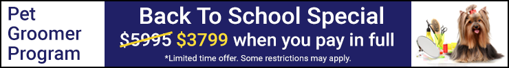 Back to School Special Back to School Special