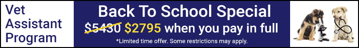 Back to School Special Back to School Special