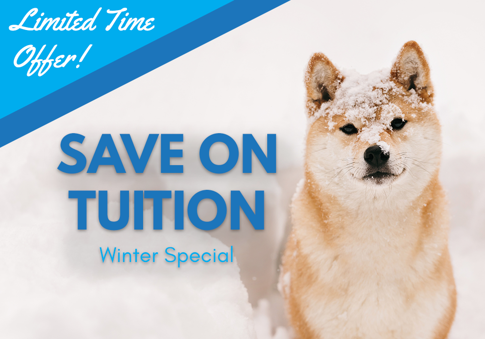 Winter special - Save on tuition costs for a limited time