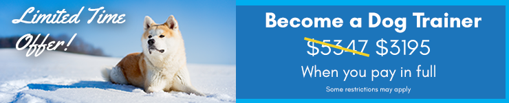 Winter special - Save on tuition costs for a limited time