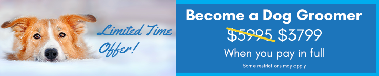Winter special - Save on tuition costs for a limited time