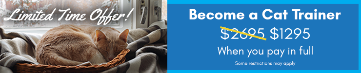 Winter special - Save on tuition costs for a limited time