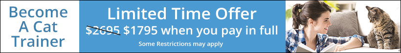 Don't miss out on our limited time summer tuition discount! Summer tuition special, limited time only