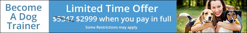 Don't miss out on our limited time summer tuition discount! Summer tuition special, limited time only