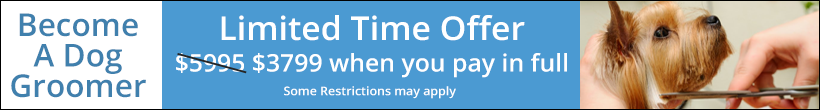Don't miss out on our limited time summer tuition discount! Summer tuition special, limited time only