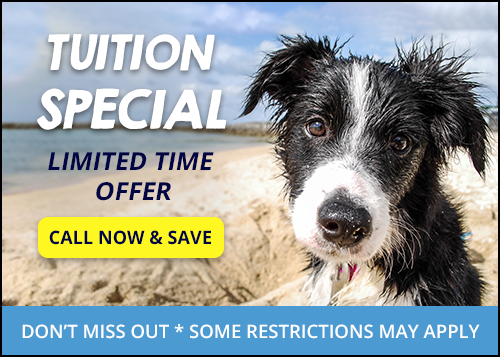 Don't miss out on our limited time summer tuition discount! Summer tuition special, limited time only