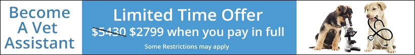 Don't miss out on our limited time summer tuition discount! Summer tuition special, limited time only