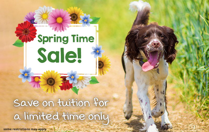 Spring Time Special