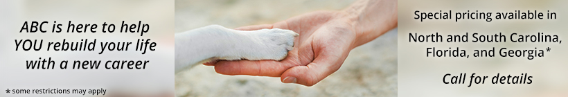 Become an ABC certified Cat Trainer - Save on tuition costs for a limited time