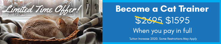 Back to School Special - Save big on Tuition