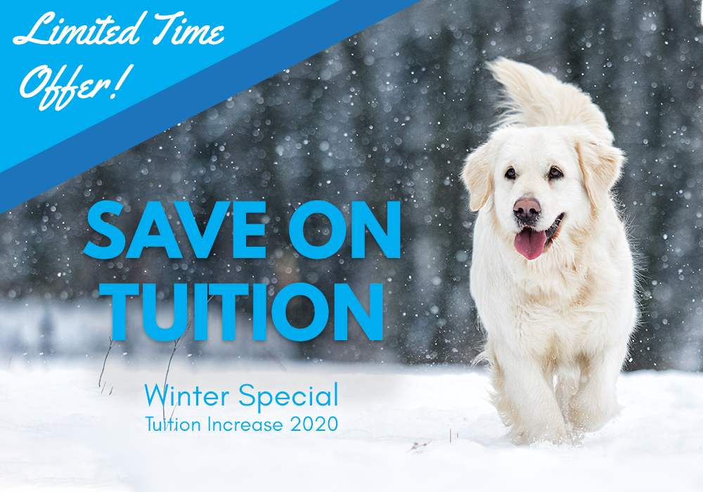 Back to School Special - Save big on Tuition