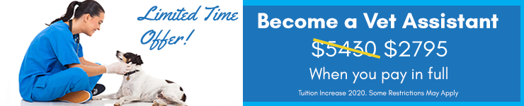 Back to School Special - Save big on Tuition