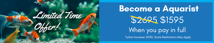 Low introductory prices on our new Aquarium Maintenance Program