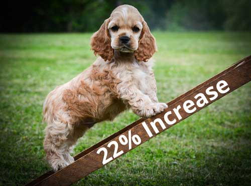 22% increase