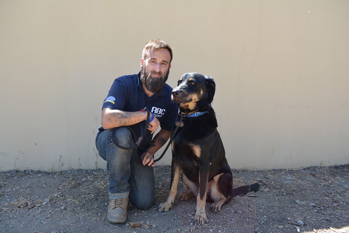 Military veteran posing with dog at Animal Behavior College dog training academy 