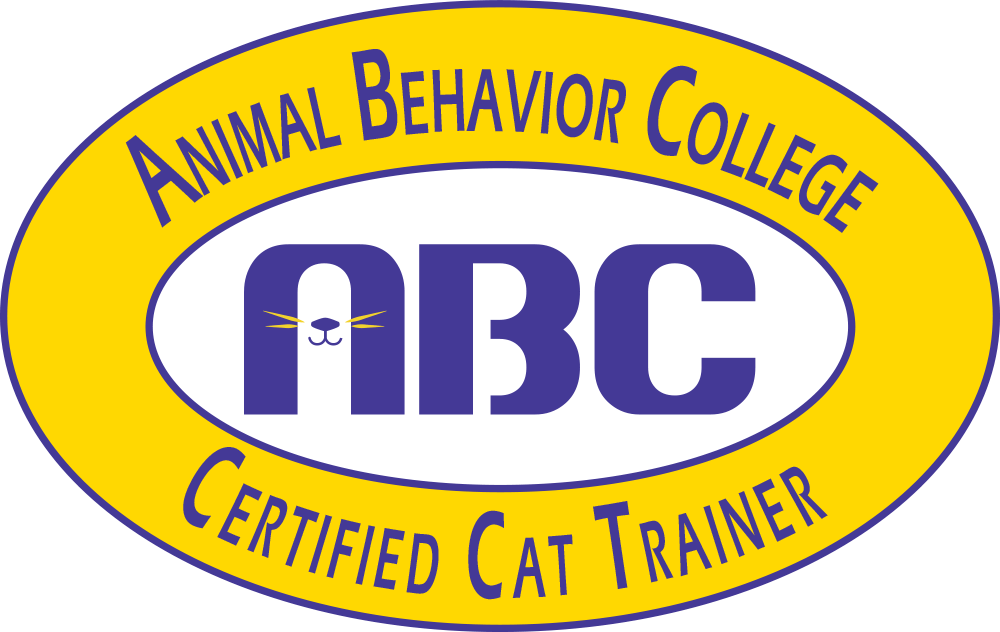 Become a Cat Trainer