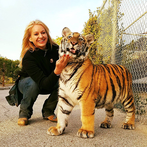 female zookeeper assistant squats beside a young tiger