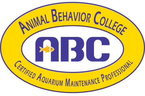 Become an ABC Certified Aquarium Maintenance Professional 