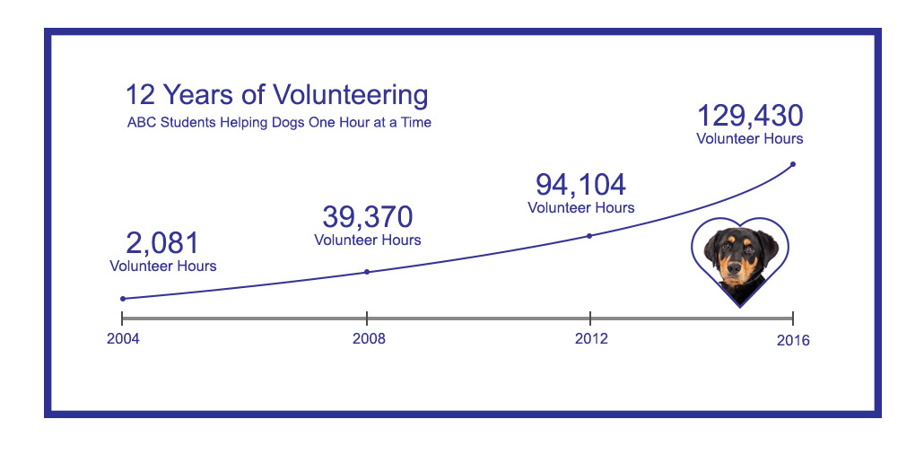 Animal Shelter Volunteer
