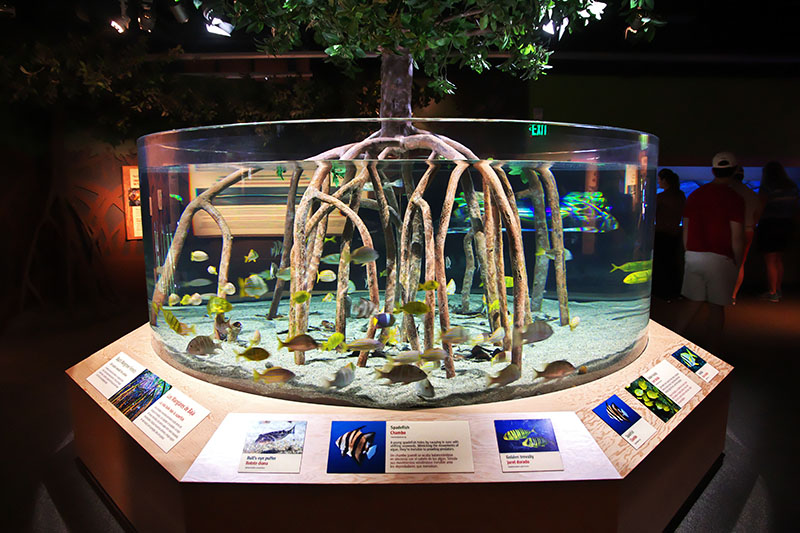 Work in an aquarium with ABC’s Aquarium Maintenance Program