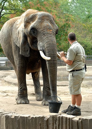 become a zookeeper assistant