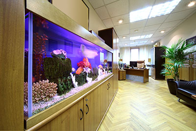 ABC’s Aquarium Maintenance Program curriculum covers commercial aquarium maintenance too!