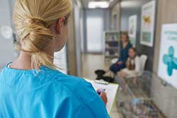 Veterinary assistant carries a clipboard as she approaches two pet owners