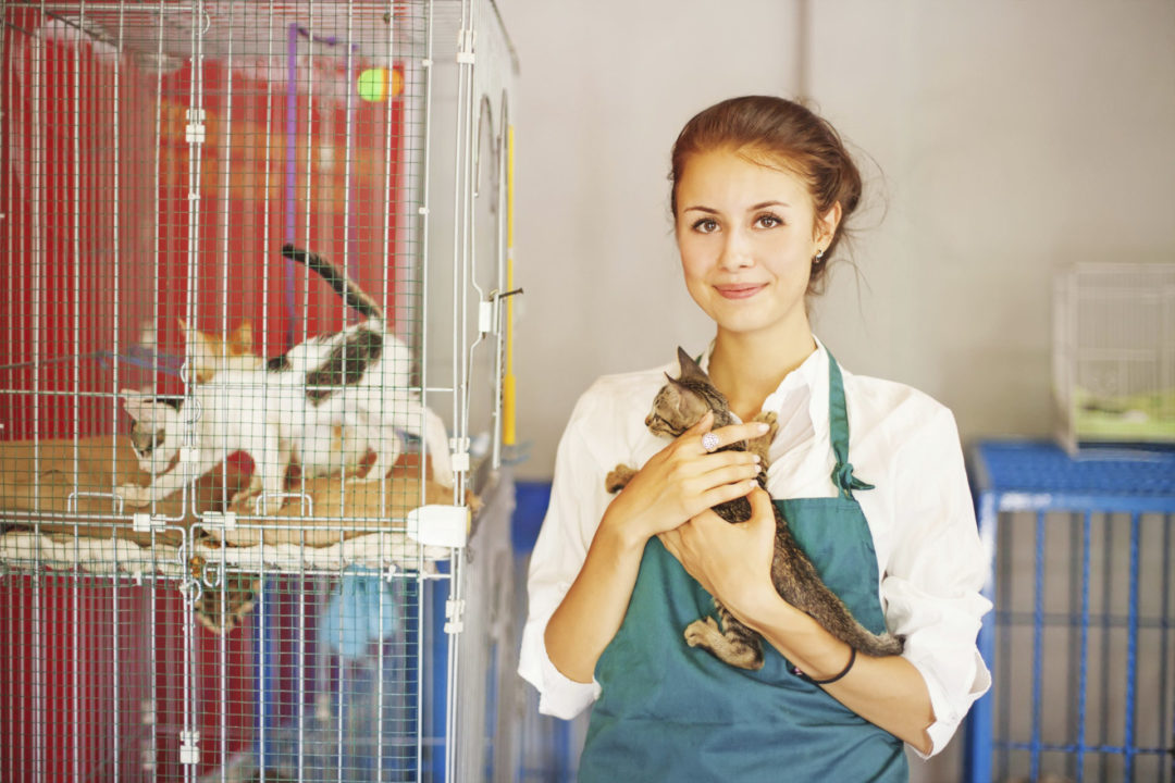 Careers With Animals - Animal Behavior College