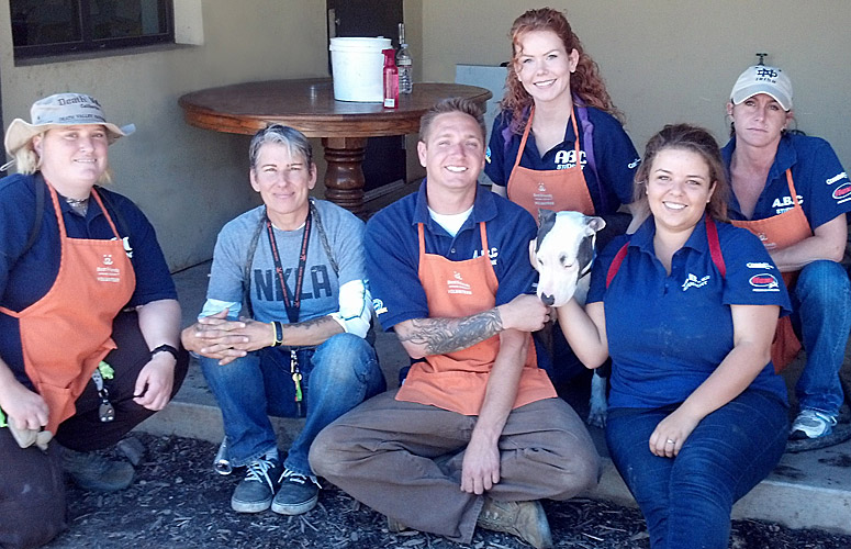 Dog Training students volunteer at Best Friends Animal Society in Mission Hills, CA.