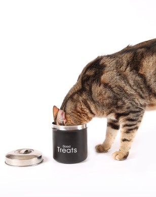How many treats are too many. Learn how to reward your cat with treats that are low calorie