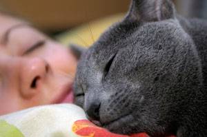 Sleep With Your Cat