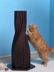 Cat Scratching Post