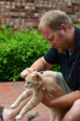 Man seated on a brick patio holds a yellow tabby and grooms the cat carefully.