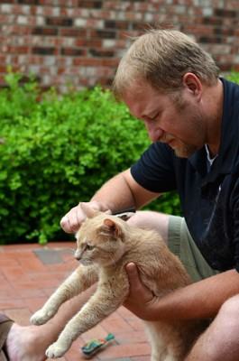 Man Grooming a Cat Man seated on a brick patio holds a yellow tabby and grooms the cat carefully.