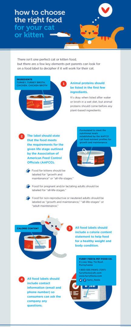 Cat Nutrition Infographic