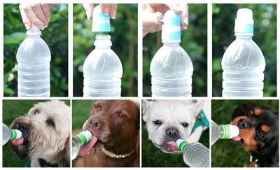 DogSport Bottle Topper