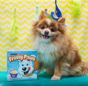 can you give a puppy frosty paws