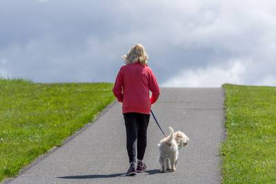 No matter where you opt to go, daily walks outdoors (or in) provide your dog with essential physical exercise and mental stimulation. Photo credit: frank1crayon/Adobe Stock