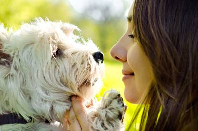 A dog's bad breath could be sign of periodontal disease. © Roman Gorielov/Adobe Stock