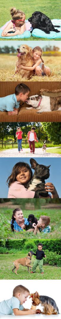 Best Dogs for Kids