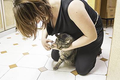 Trimming Cat Nails