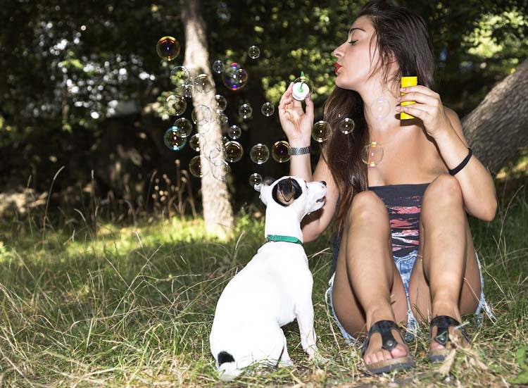 Bubbles for Dogs: A Great Summer Game - Animal Behavior College