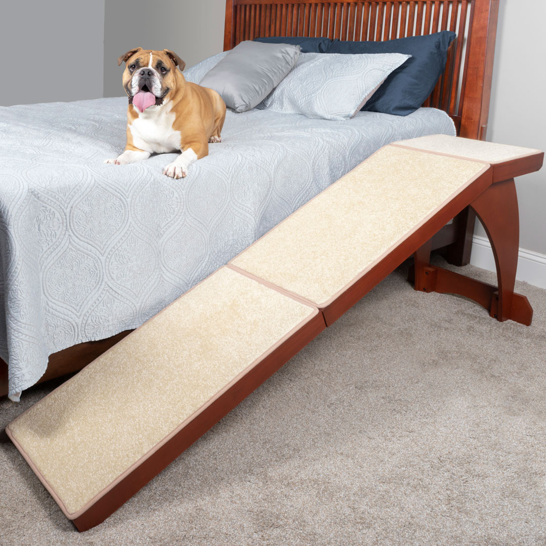 dog bed ramp