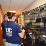 Caged shelter dog meets two ABC students there for dog training classes.