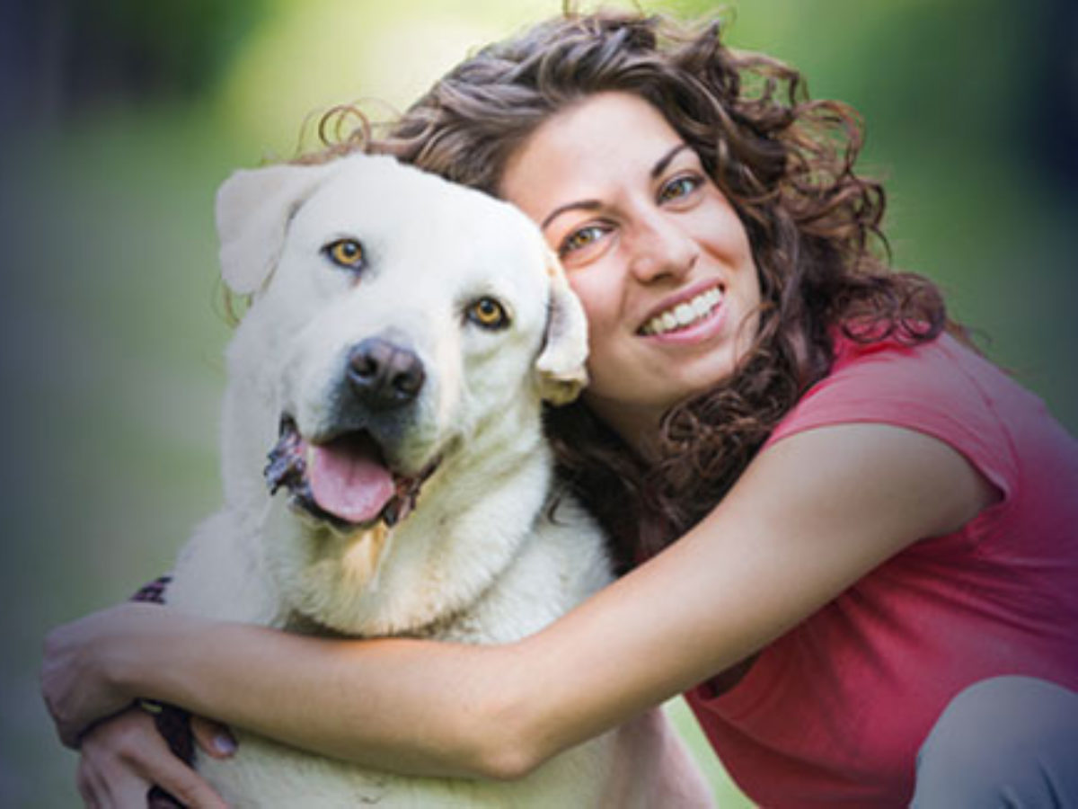 Dog Training School Cost | Animal Behavior College