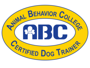 Dog Obedience Instructor | How to Become a Dog Trainer