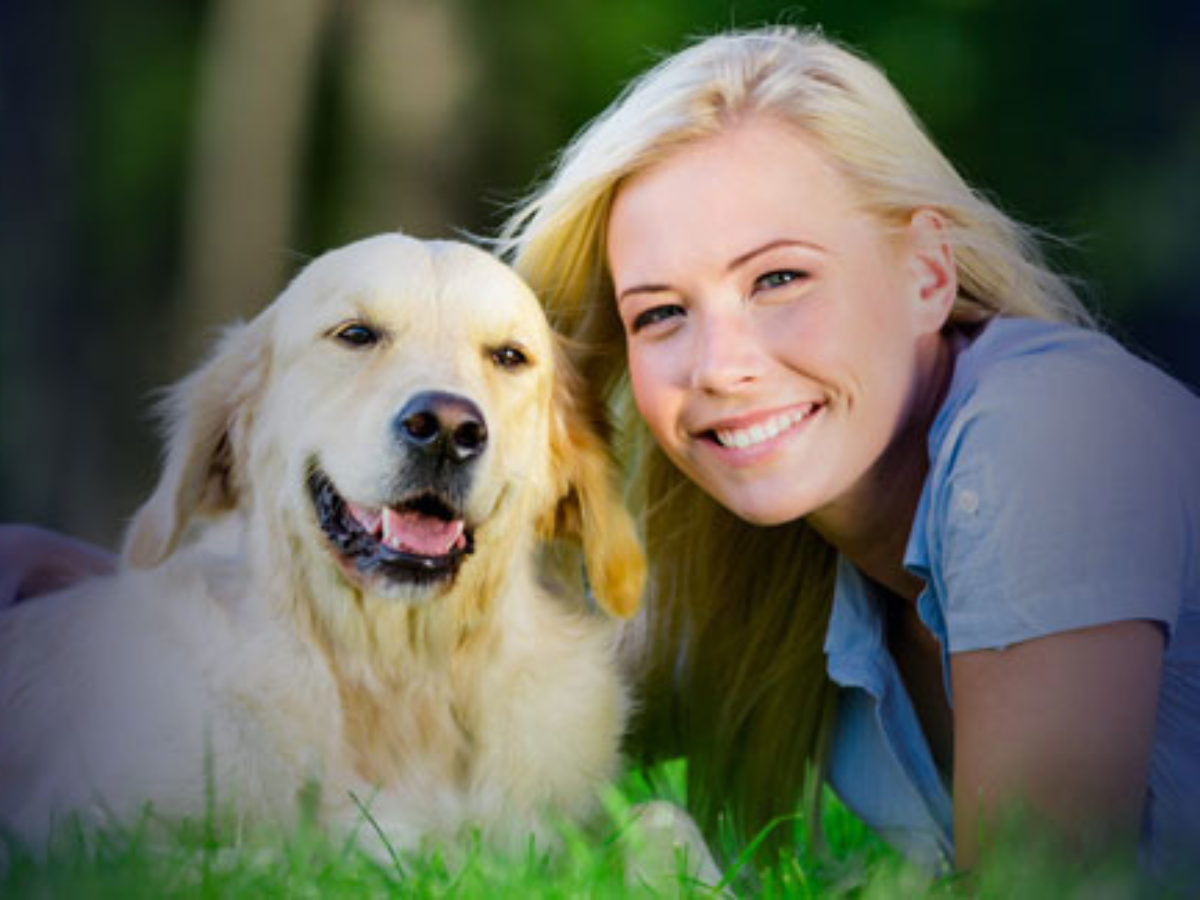 Service Dog Training Near Me